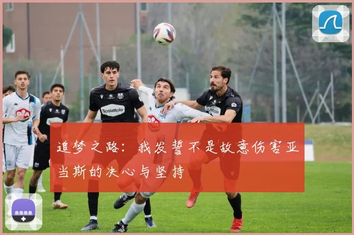 追梦之路：我发誓不是故意伤害亚当斯的决心与坚持