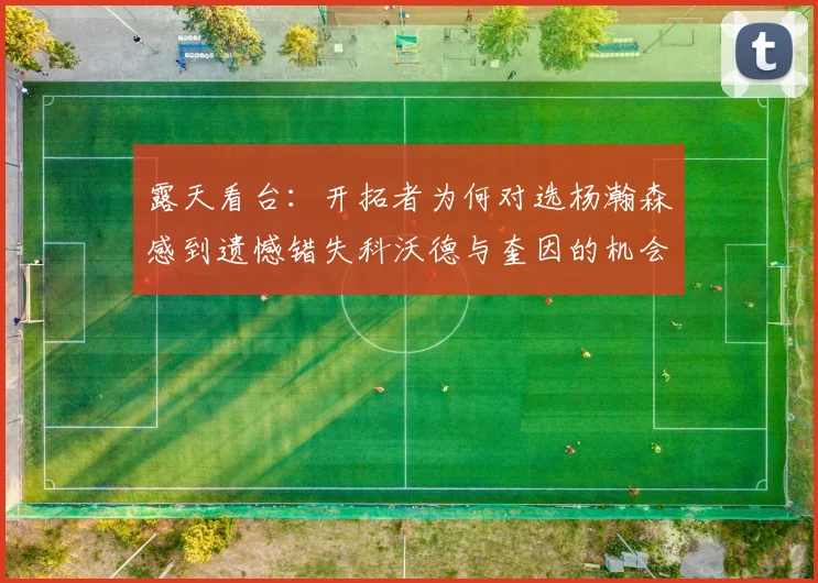 露天看台：开拓者为何对选杨瀚森感到遗憾错失科沃德与奎因的机会